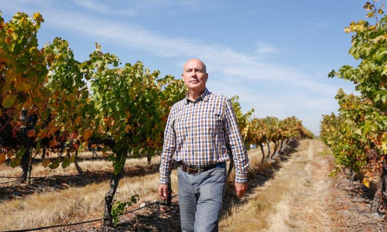 VinaMarty_Winery